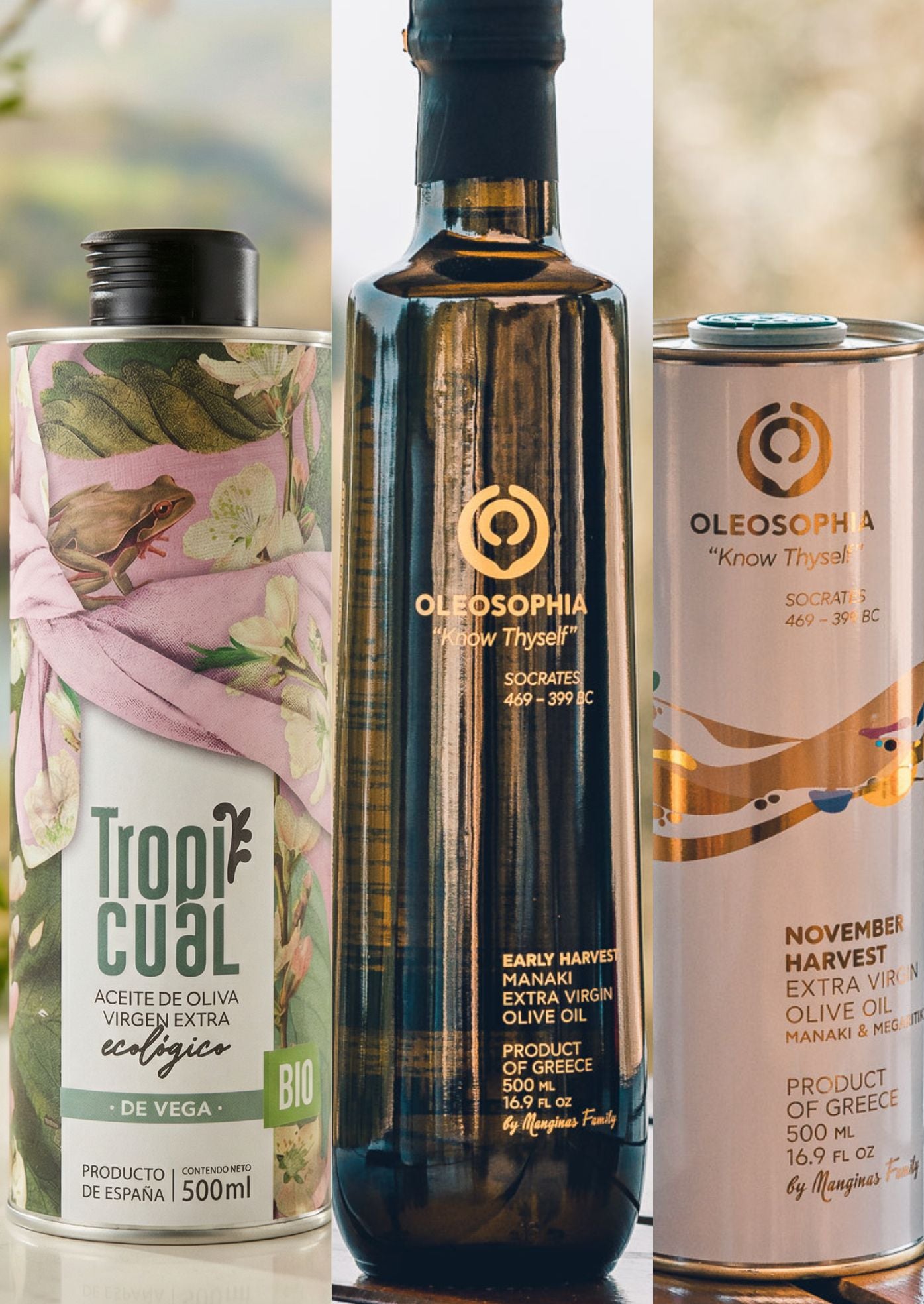 Three bottles of olive oil from different brands on a blurred natural background